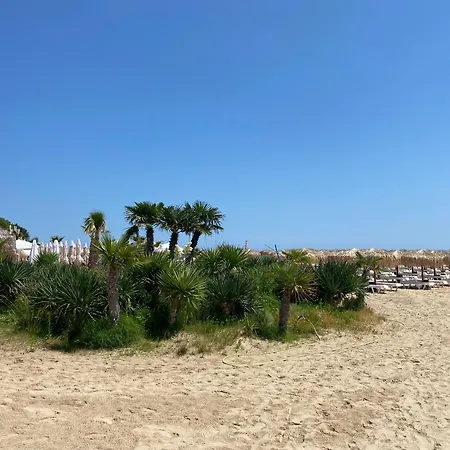 Horizon 3 'б' * スヴェティ・ヴラス